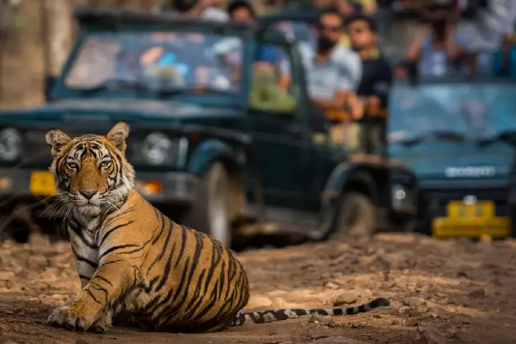 Jaipur to Ranthambore Taxi